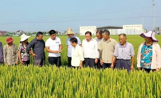 南通海安 办好家庭农场,推动一 三产业融合发展,鼓起农民钱袋子