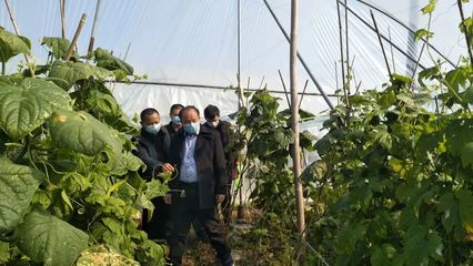 【关注】坚决打赢疫情防控阻击战,平和在行动!(五)
