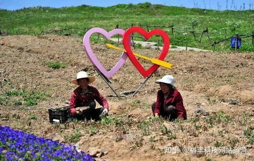 重磅分析 家庭农场案例拆解 定位 模式很关键