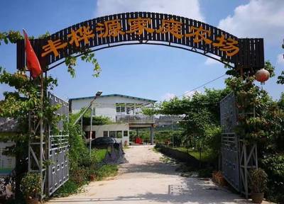 【旅游】国庆去田园做“农夫”吧!市农业局推介:沙田这个点不可错过哦!