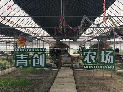 建一座农场圆一个梦 嘉善95后小伙当起现代“新农民”