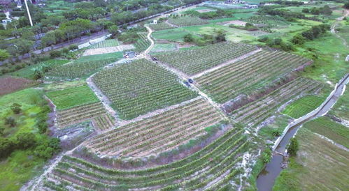 新金融 书写 山海情 建行福建省分行服务福建实体经济高质量发展