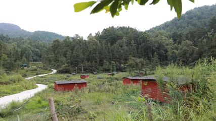 长顺县狠抓闲置项目盘活工作
