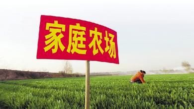 你认同农业电商联盟助力家庭农场综合能力提升,是一个很好尝试吗