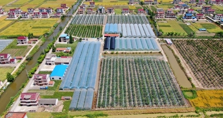 樱桃园亩收入近2万元 青年农民科学种植种出“摇钱树”