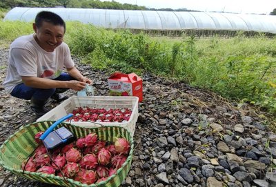 湖口县张青乡:农业绿色转型,共护“舌尖安全”