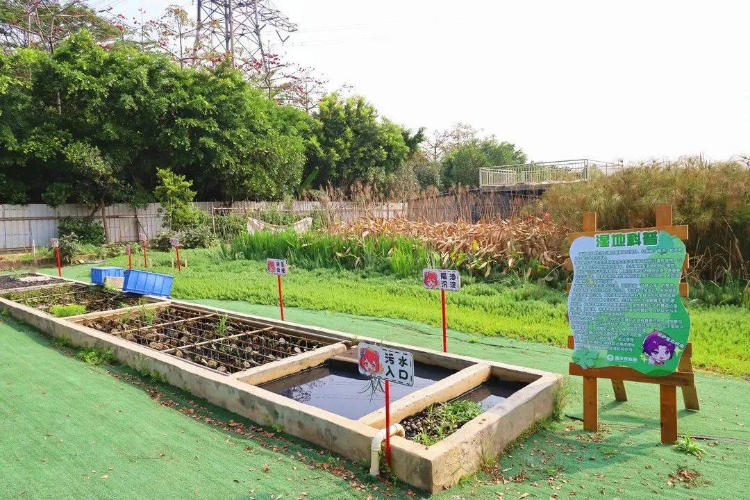 家庭农场,合作社,到底哪个更适合你?