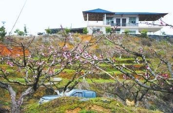 家庭农场下一步(组图)_网易新闻中心