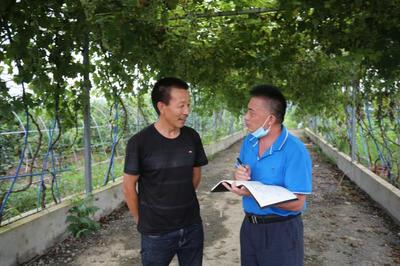 双脚踏上致富路--湖北鄂州市杜山镇绿之缘家庭农场见闻
