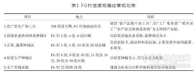 吴业苗:村集体经营规模农地的可能及其政策观照