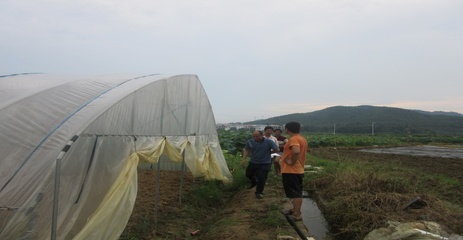 区农业农村局经管站调研家庭农场及合作社