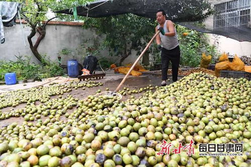 成县有个家庭农场叫林缘