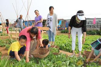 家庭农场全篇!看看发展家庭农场的优势、条件和规模!