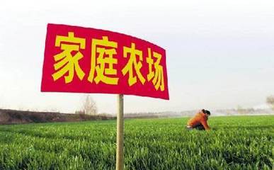 史上最强家庭农场攻略,一篇就足够了!