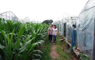 发展家庭农场 迎来最新政策利好 全国供销总社等11部委联合发文