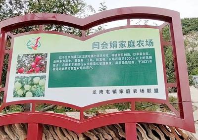 顺义新增2个区级家庭农场示范镇、48户区级示范家庭农场