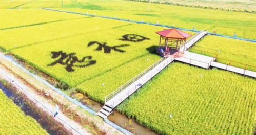 文旅部推荐 吉林这5条线路,国庆必去