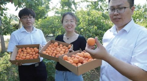 快看 236家上榜 天津这些家庭农场好看又好玩