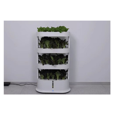 Sensh产品室内水培系统种植套件商用家庭农场 - Buy Indoor Hydroponic Systems hydroponic Systems Commercial modular Hydroponic System Product on Alibaba.com