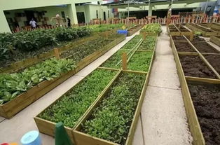 家庭农场新革命：植物照明让每个家庭拥有绿色小农场