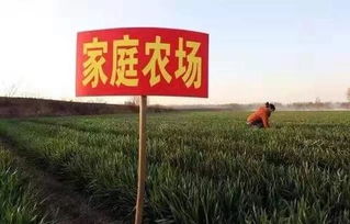 家庭农场合作社电商联盟倡议书发出后，意想不到的惊喜正悄然绽放