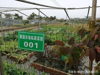探索南宁聚福欢乐农庄 家庭农场的理想之选