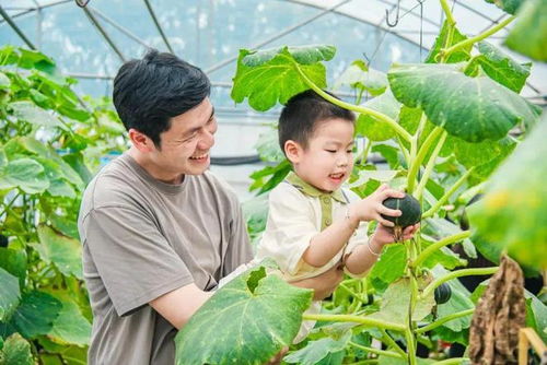 广东味 家乡美 夏日约惠，一起探秘惠州美丽庭院、品尝名优特产、体验家庭农场