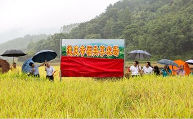 肇庆“外嫁女”打造家庭农场，赢得省领导赞誉