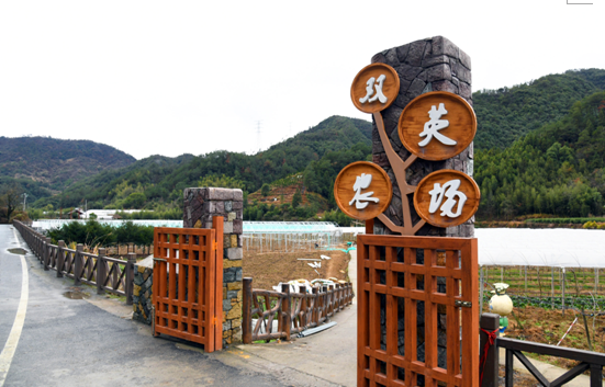 菜园变身“开心农场” 会泽走出家庭农场脱贫新模式