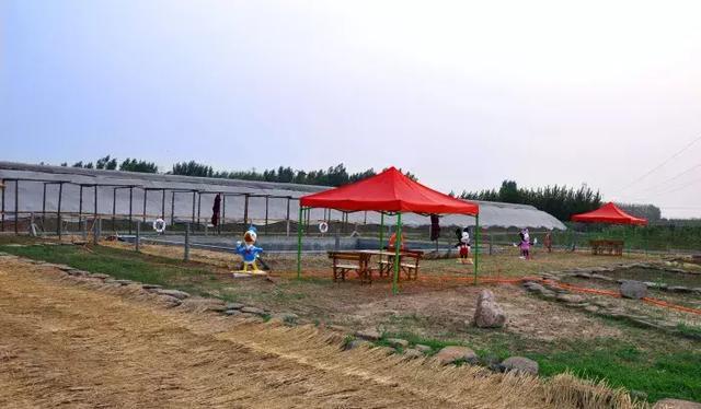 乡里情，体验家庭农场！