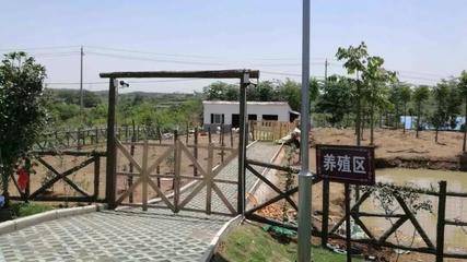 走进南山的共享家庭农场，做一个快乐的城市农夫