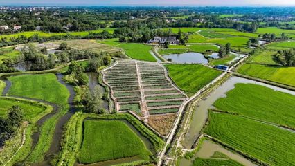 稻花香里蛙声鸣，生态种养助家庭农场产值突破300万