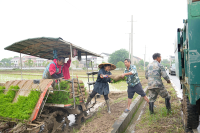 人欢机鸣忙春插 家庭农场