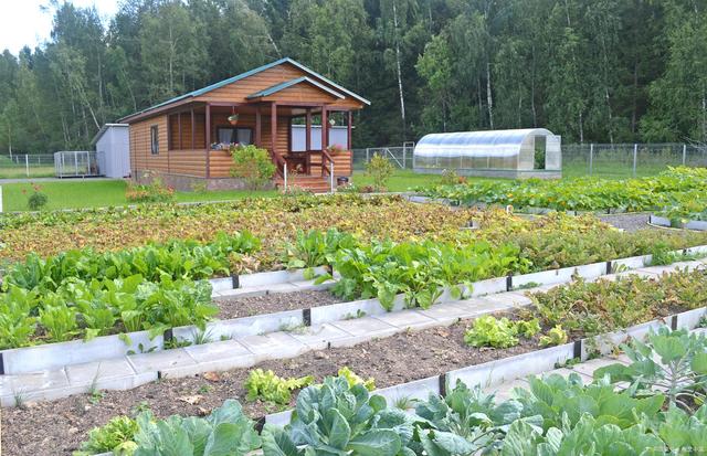 家庭农场 创造健康生活的新趋势